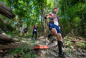 BIB: 
                            <button type="button" onclick="openModal(19389880)" class="btn btn-primary btn-sm float-right btn-popup" data-toggle="modal" data-target=".modal-high-quality">
                        <i class="fas fa-shopping-cart"></i> Add to Cart
                    </button>
                                            <button type="button" onclick="isThisMe(19389880, true)" class="btn btn-success btn-sm float-right btn-popup btn-isme hidden" data-toggle="tooltip" data-placement="bottom" title="นี่คือรูปของคุณใช่ไหม คลิกที่นี่เพื่อเอาเข้าอัลบั้ม">
                        <i class="fas fa-plus"></i> Add to album
                    </button>
                    <button type="button" onclick="isThisMe(19389880, false)" class="btn btn-warning btn-sm float-right btn-popup btn-isnotme hidden">
                        <i class="fas fa-ban"></i> Remove from album
                    </button>